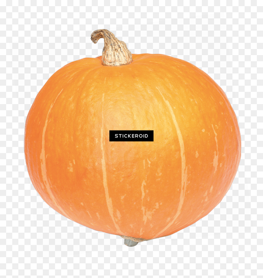 Pumpkin, HD Png Download - pumpkin png