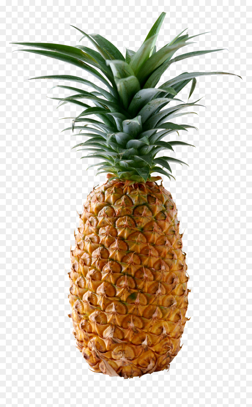 Pineapple Png Hd, Transparent Png - pineapple png