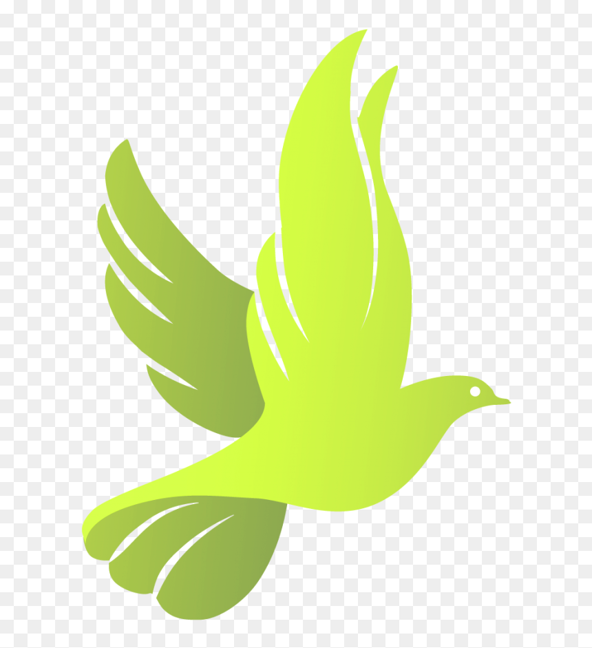 Cristianas Bonitas En Png, Transparent Png - dove png