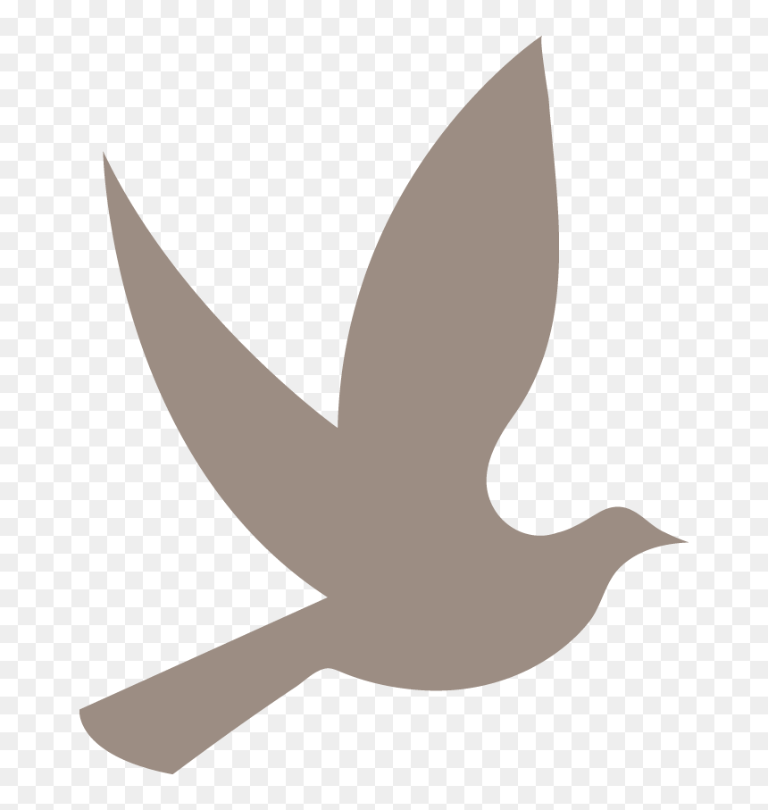 Dove Png, Transparent Png - dove png