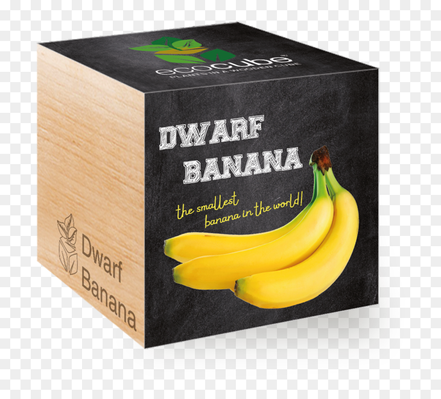 Saba Banana, HD Png Download - banana png
