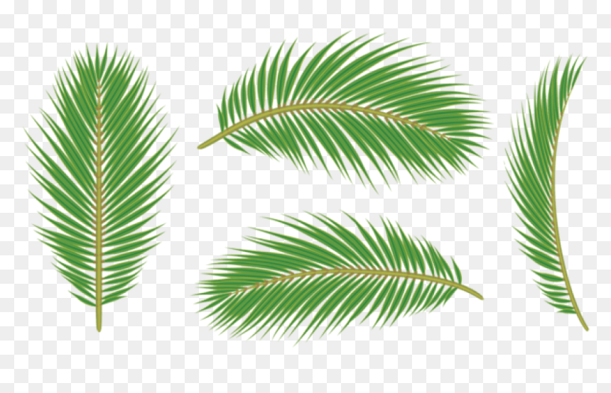 Leaves Png, Transparent Png - leaves png