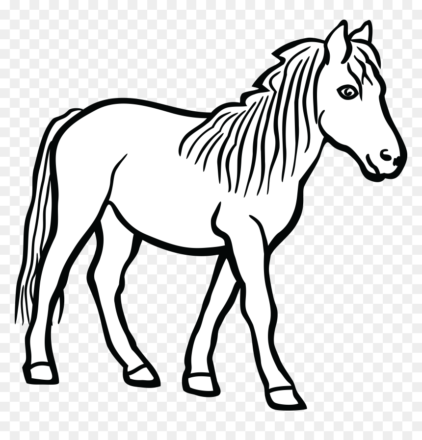 Clip Art Of Horse, HD Png Download - horse png