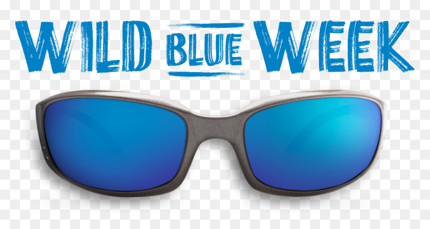 Composite Material, HD Png Download - deal with it glasses png