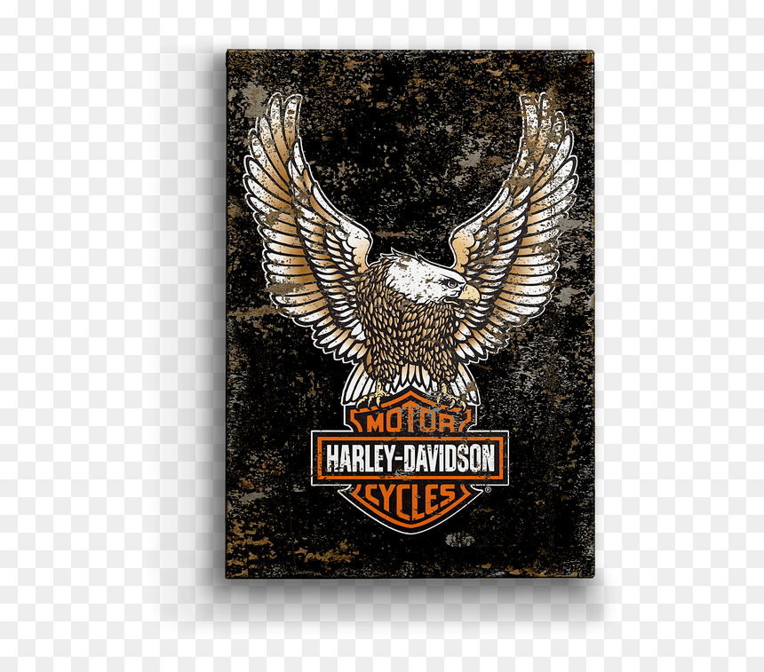 Harley Davidson, HD Png Download - eagle png