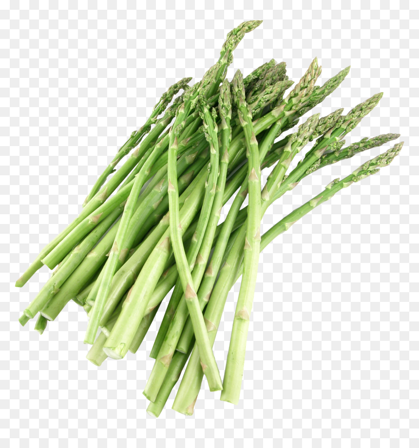 Asparagus Png, Transparent Png - plant png