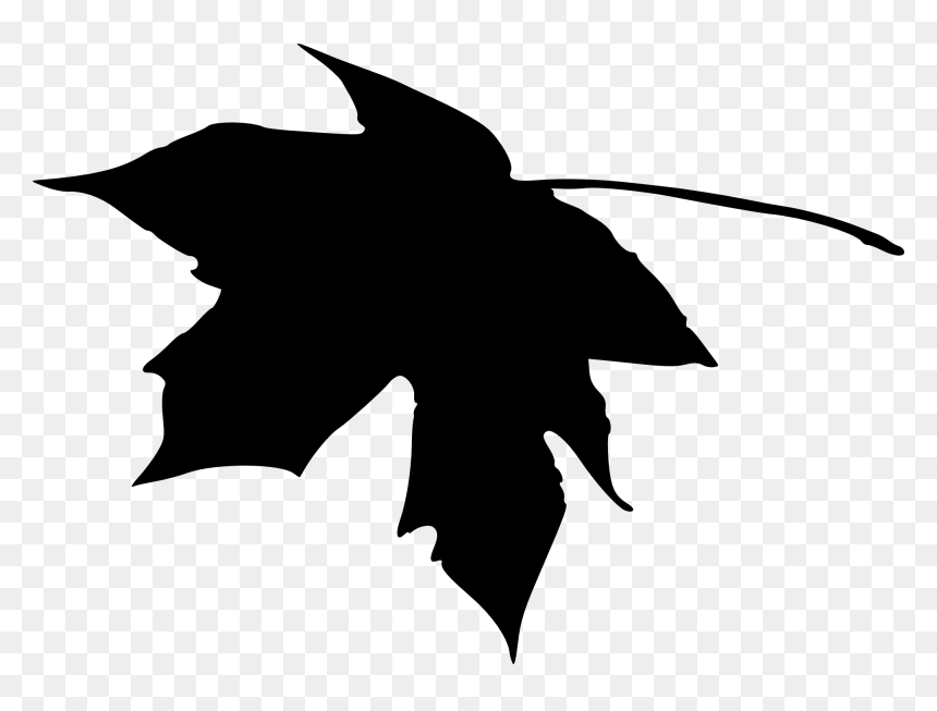 Leaf Silhouette Png, Transparent Png - plant png
