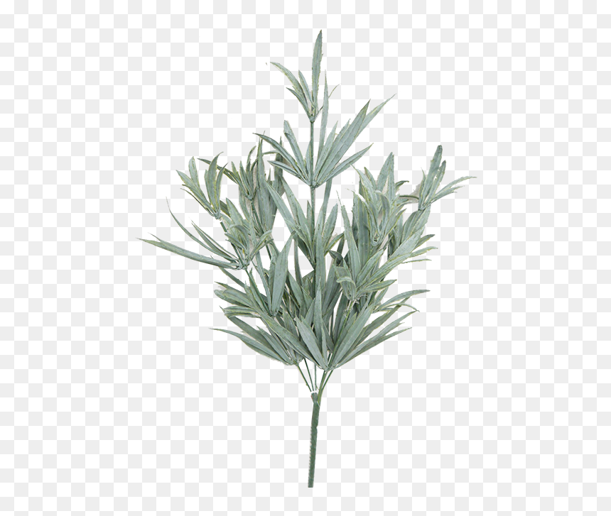 Monkshood, HD Png Download - bush png