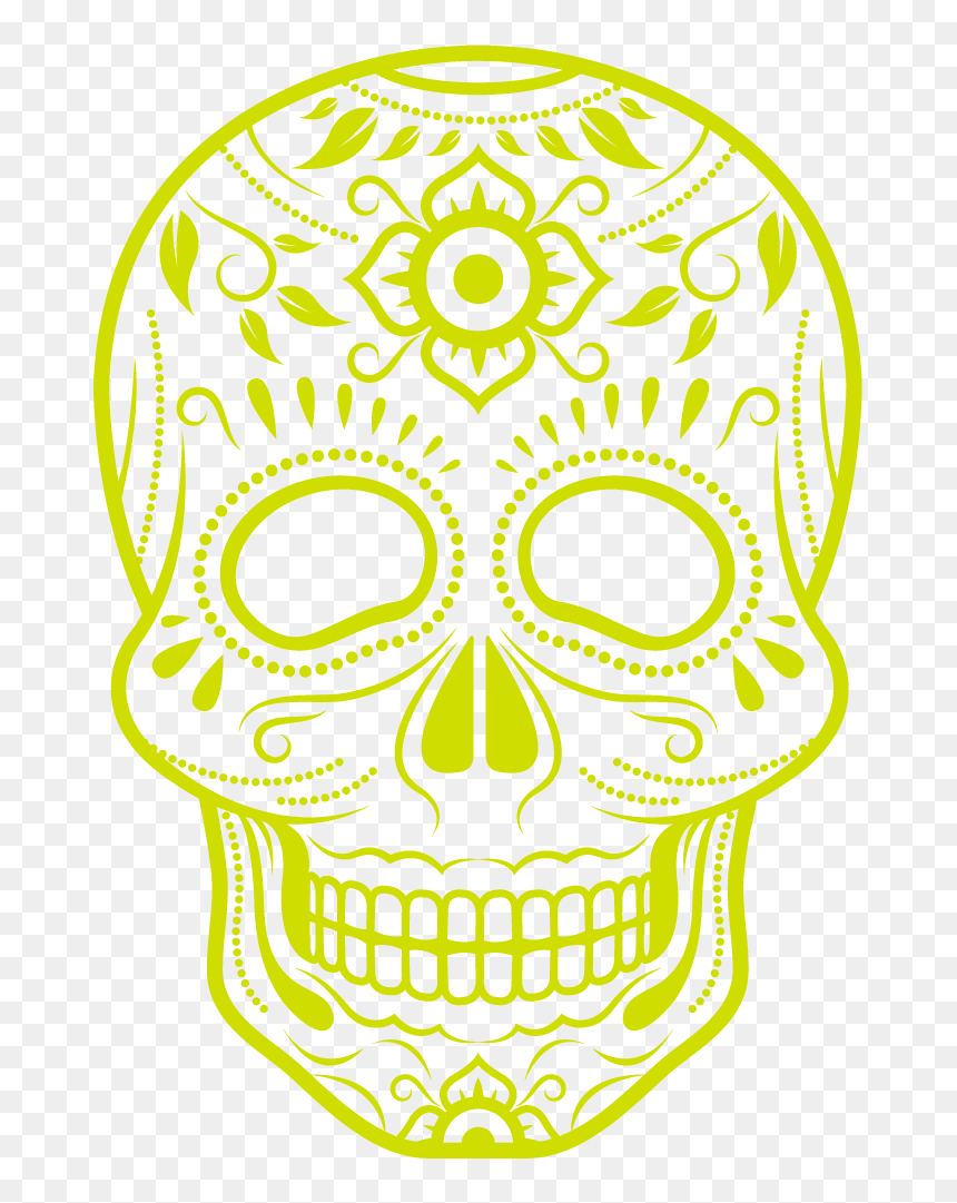 Skull, HD Png Download - amigos png