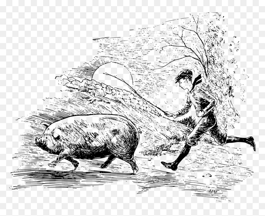 Pig, HD Png Download - baton png