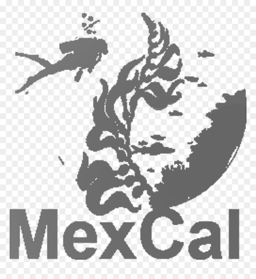 Mexicali Mexico On Map, HD Png Download - logo uabc png