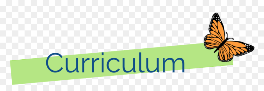 Curriculum - Preschool, HD Png Download - curriculum png