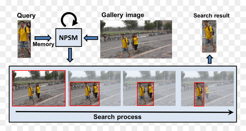 Screenshot, HD Png Download - person search png