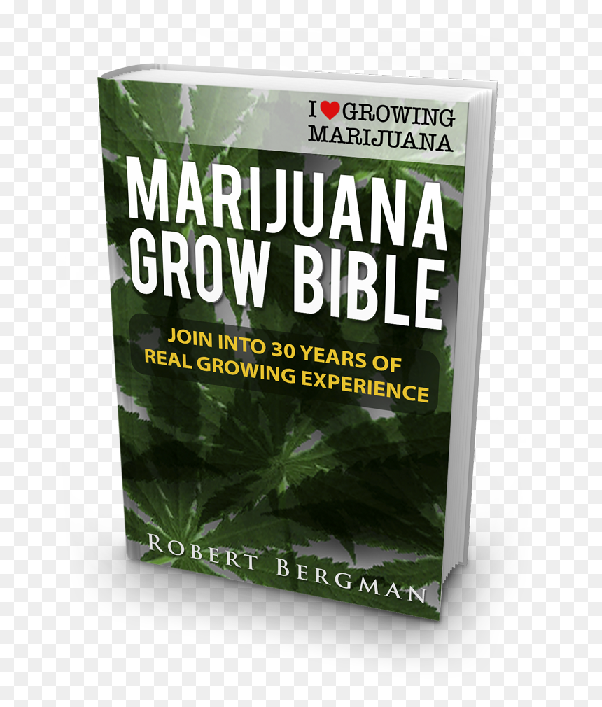 How Much Does Growing Marijuana Cost - Marijuana Bible, HD Png Download - nug of weed png