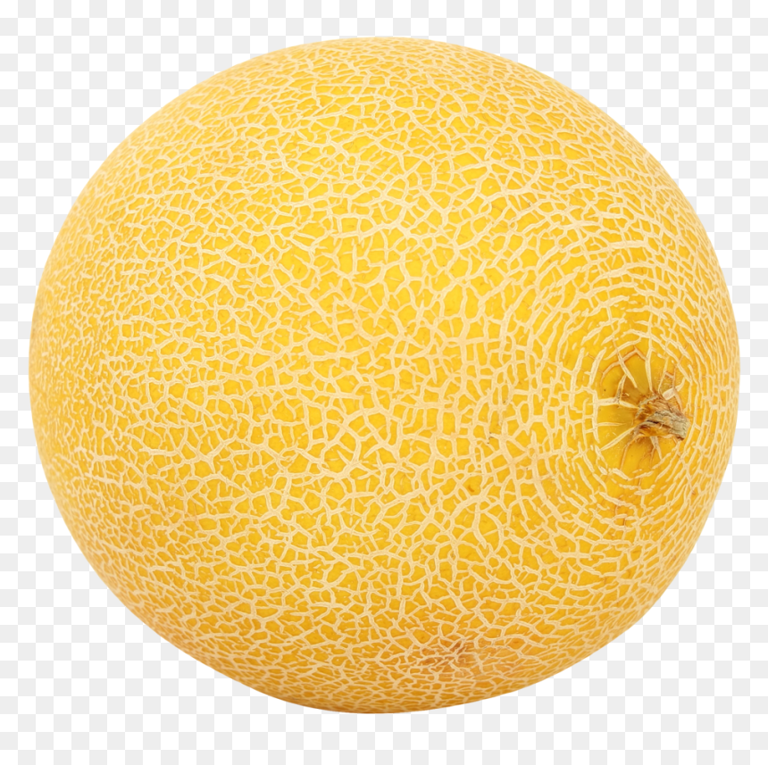 Melon Png, Transparent Png - tumblr png watermelon