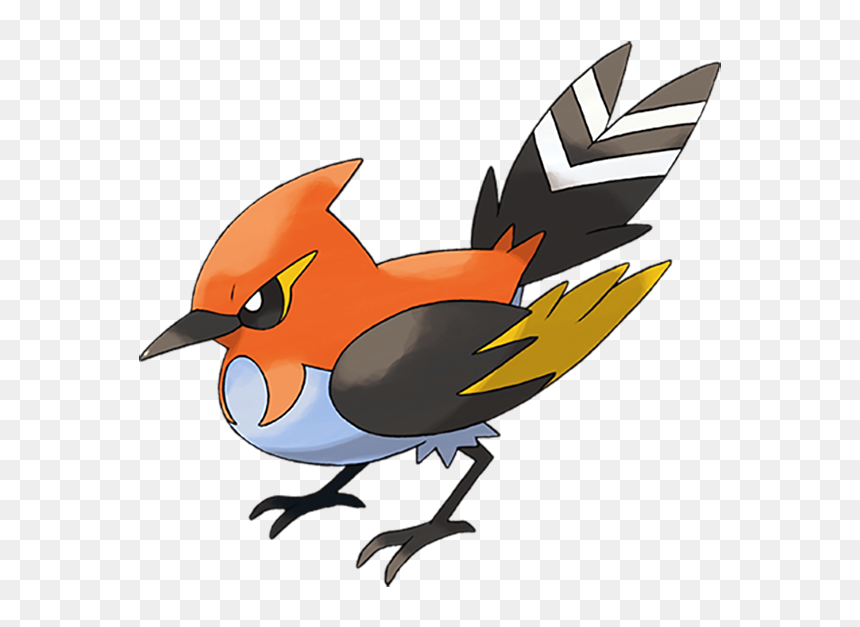 Pokemon Fletchinder, HD Png Download - fletchinder png