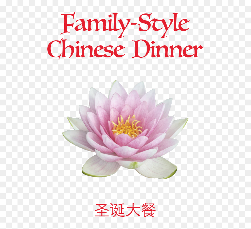 Lotus2, HD Png Download - christmas dinner png