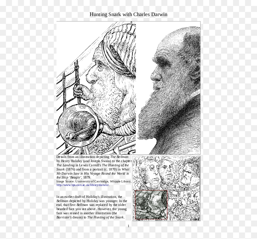 Diagram, HD Png Download - charles darwin png
