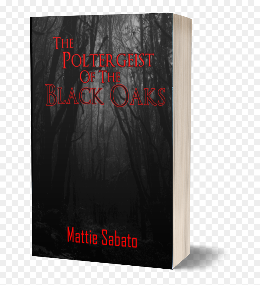 Book Cover, HD Png Download - poltergeist png