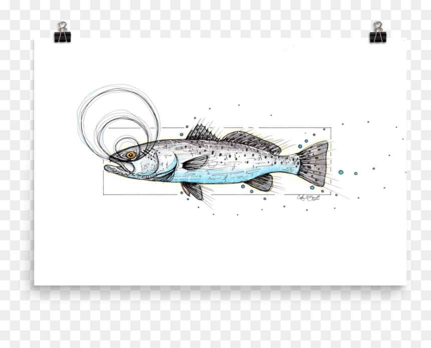 Trout Poster - Illustration, HD Png Download - speckled trout png