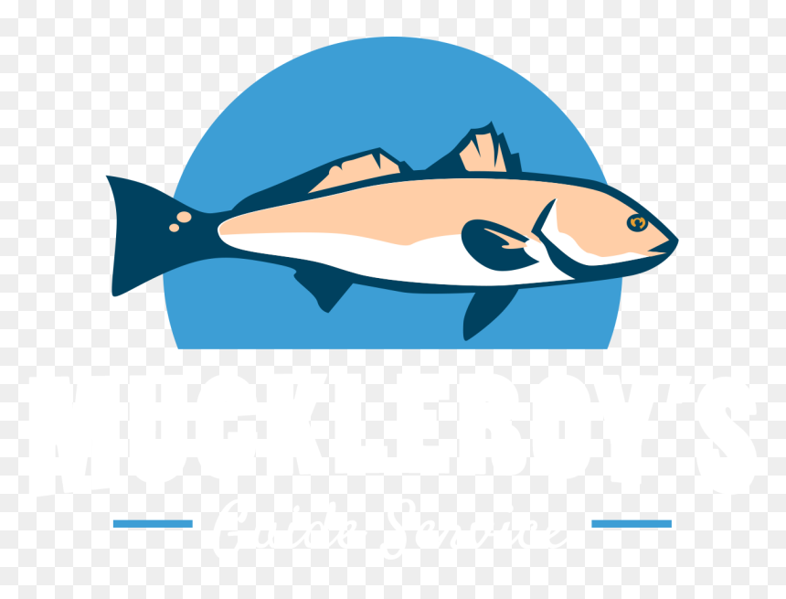 Clip Art, HD Png Download - speckled trout png