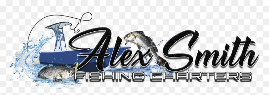 Bass, HD Png Download - speckled trout png
