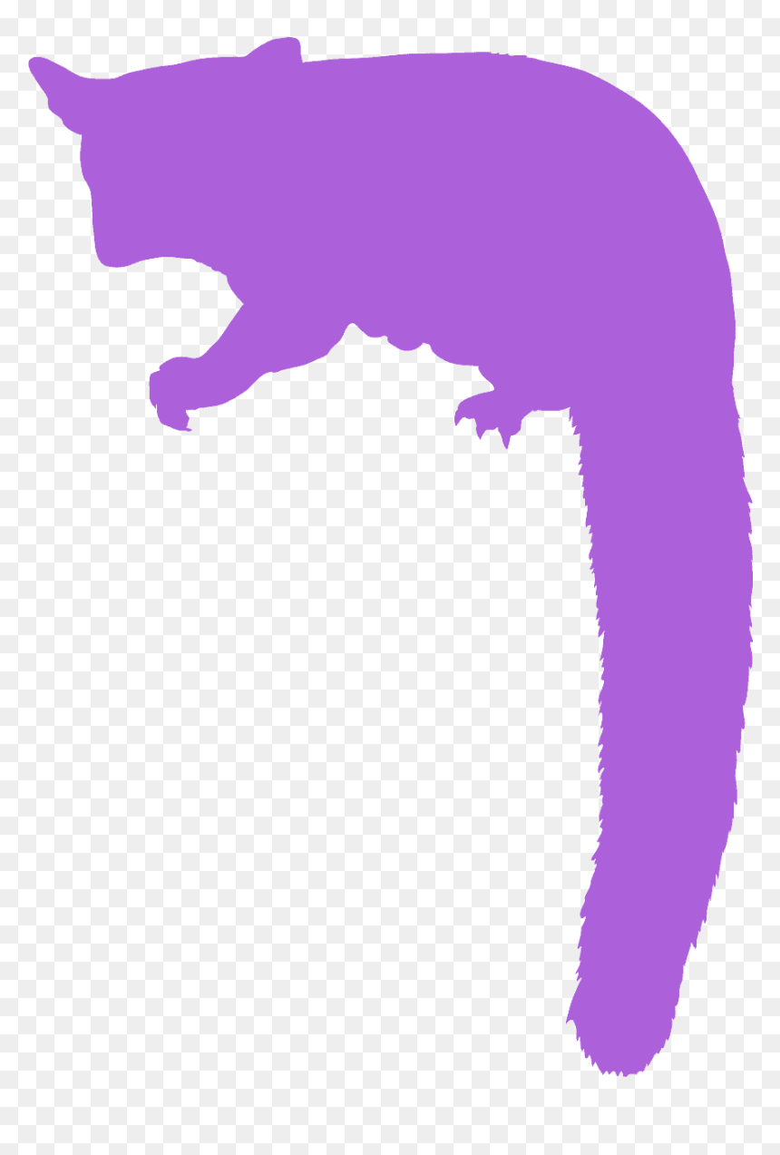 Sugar Glider Silhouette, HD Png Download - sugar glider png