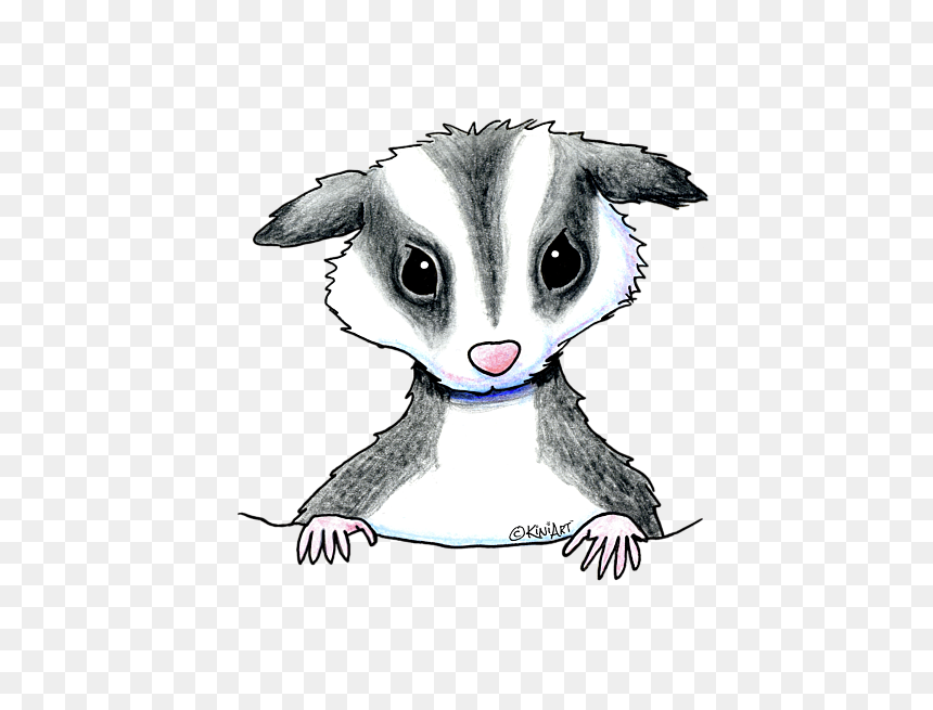 Sugar Glider Clipart, HD Png Download - sugar glider png