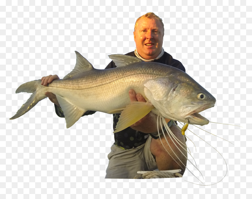 Pacific Sturgeon, HD Png Download - sugar glider png