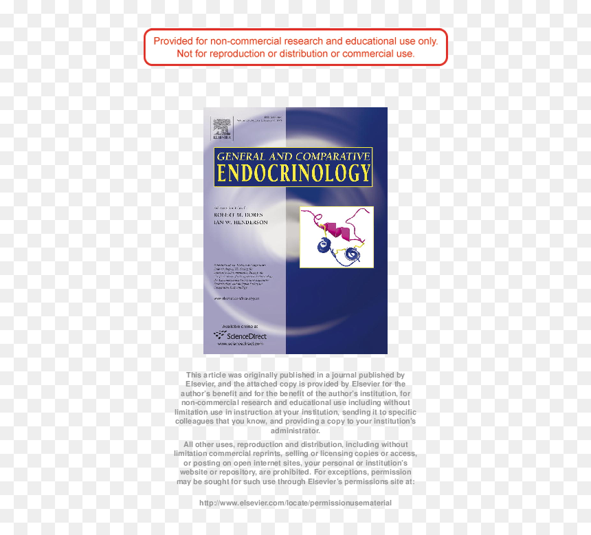 Document, HD Png Download - lonk png