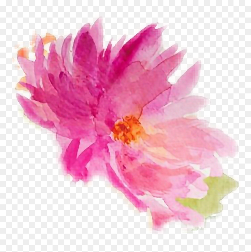 #watercolor #watercolours #flowers - Chinese Peony, HD Png Download - watercolor peony png