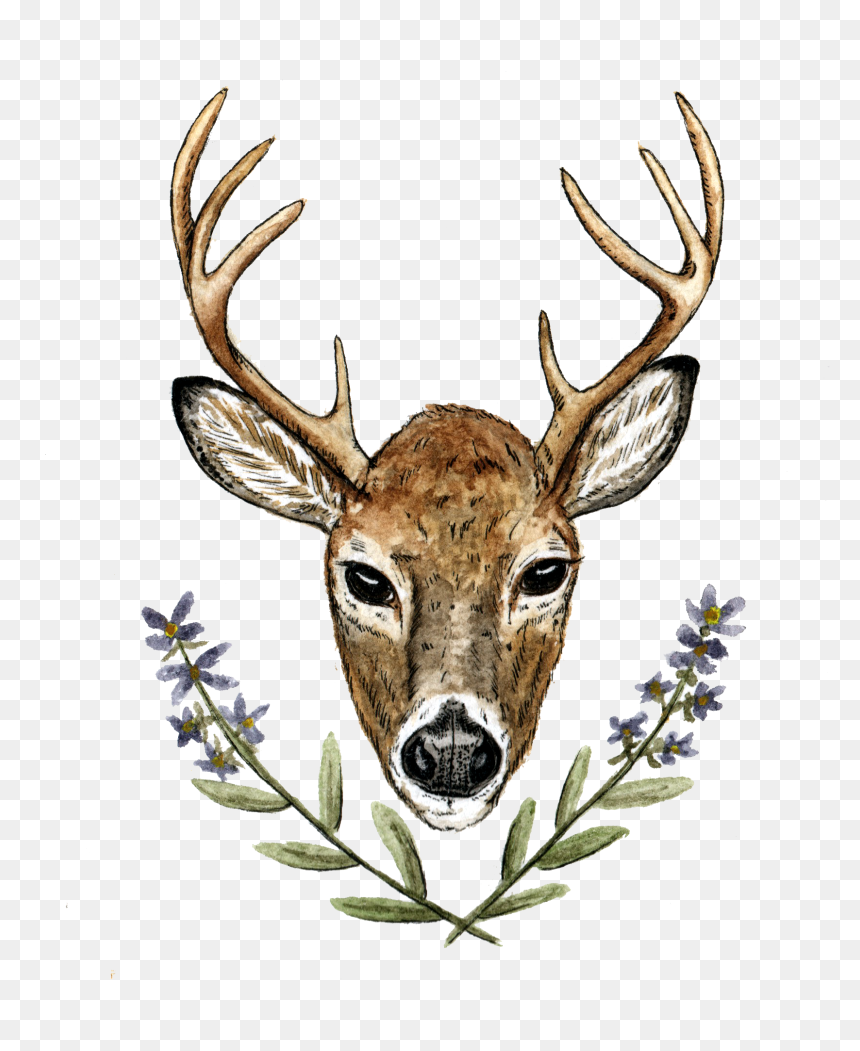 Deer Wedding Png, Transparent Png - rustic wedding png