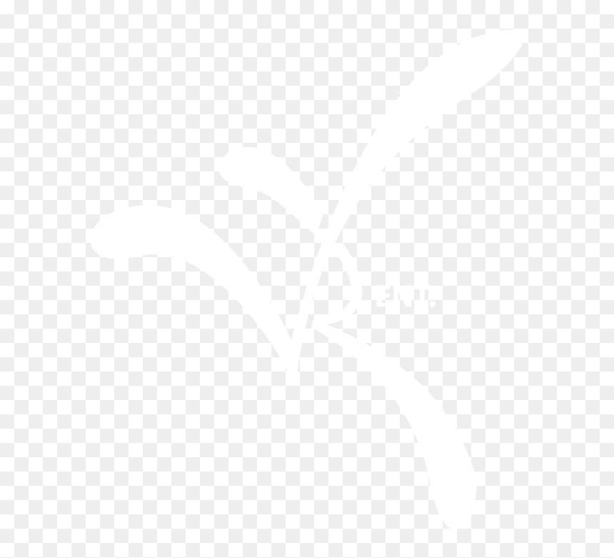 Vr Ent Logo Weiss - Not Enter Sign Printable, HD Png Download - ent png