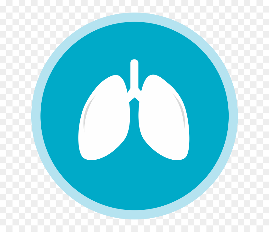 Usos De Las Cã©lulas Madre - Circle Blue Youtube Logo, HD Png Download - pulmones png