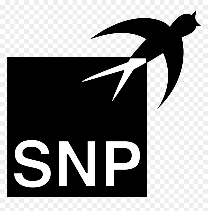 Snp Schneider Neureither & Partner Se, HD Png Download - schneider logo png