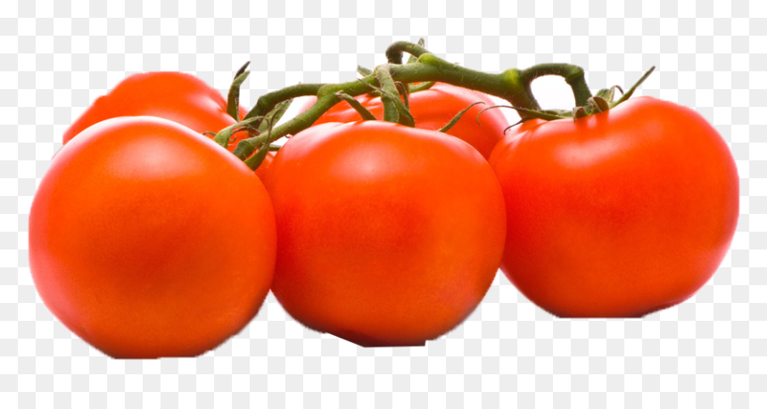 Plum Tomato, HD Png Download - tomato .png