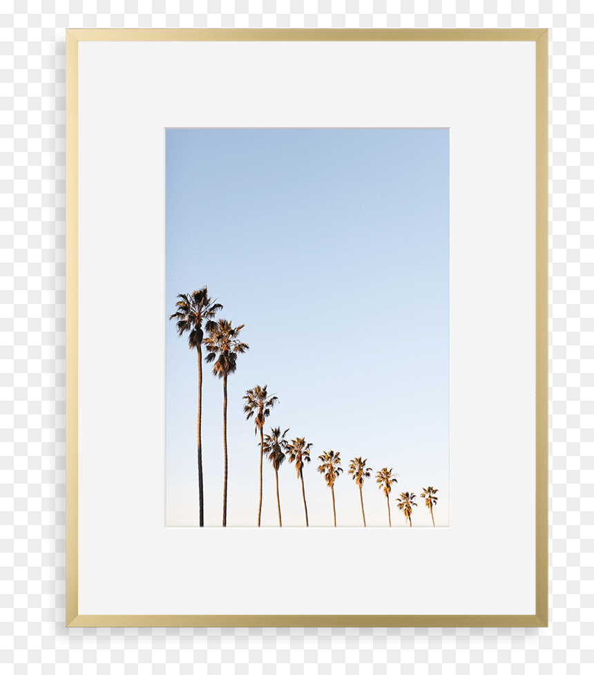 Metal Gallery Matte Gold - Love Palm Tree Quotes, HD Png Download - gilded frame png
