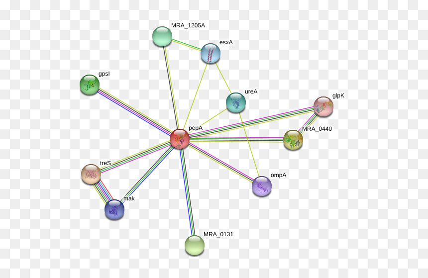 Pepa Protein - Circle, HD Png Download - pepa png