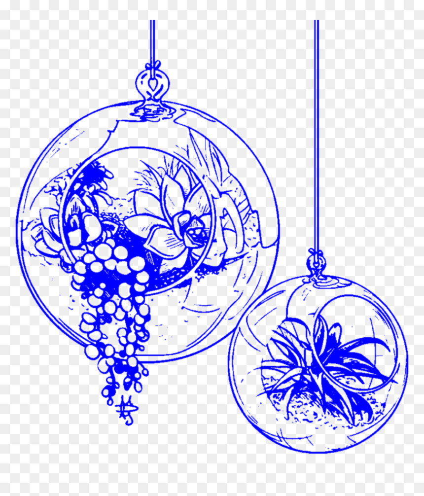 Aesthetic Blue Handdrawn Terrarium Succulent Succulent - Circle, HD Png Download - blue plant png