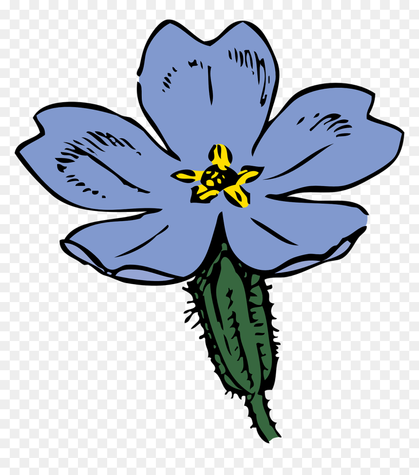 Primrose Clipart, HD Png Download - blue plant png