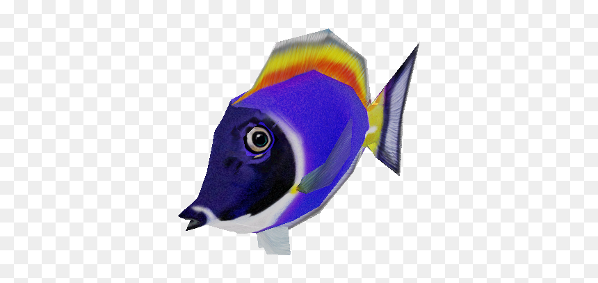 Download Zip Archive - Pomacentridae, HD Png Download - blue tang png