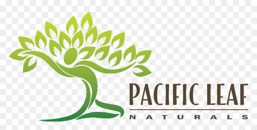 Pacific Leaf Natural - Dancing Figure With Tree, HD Png Download - kratom png
