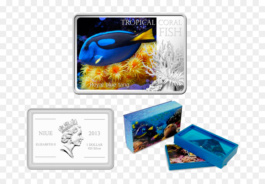 Seabird, HD Png Download - blue tang png