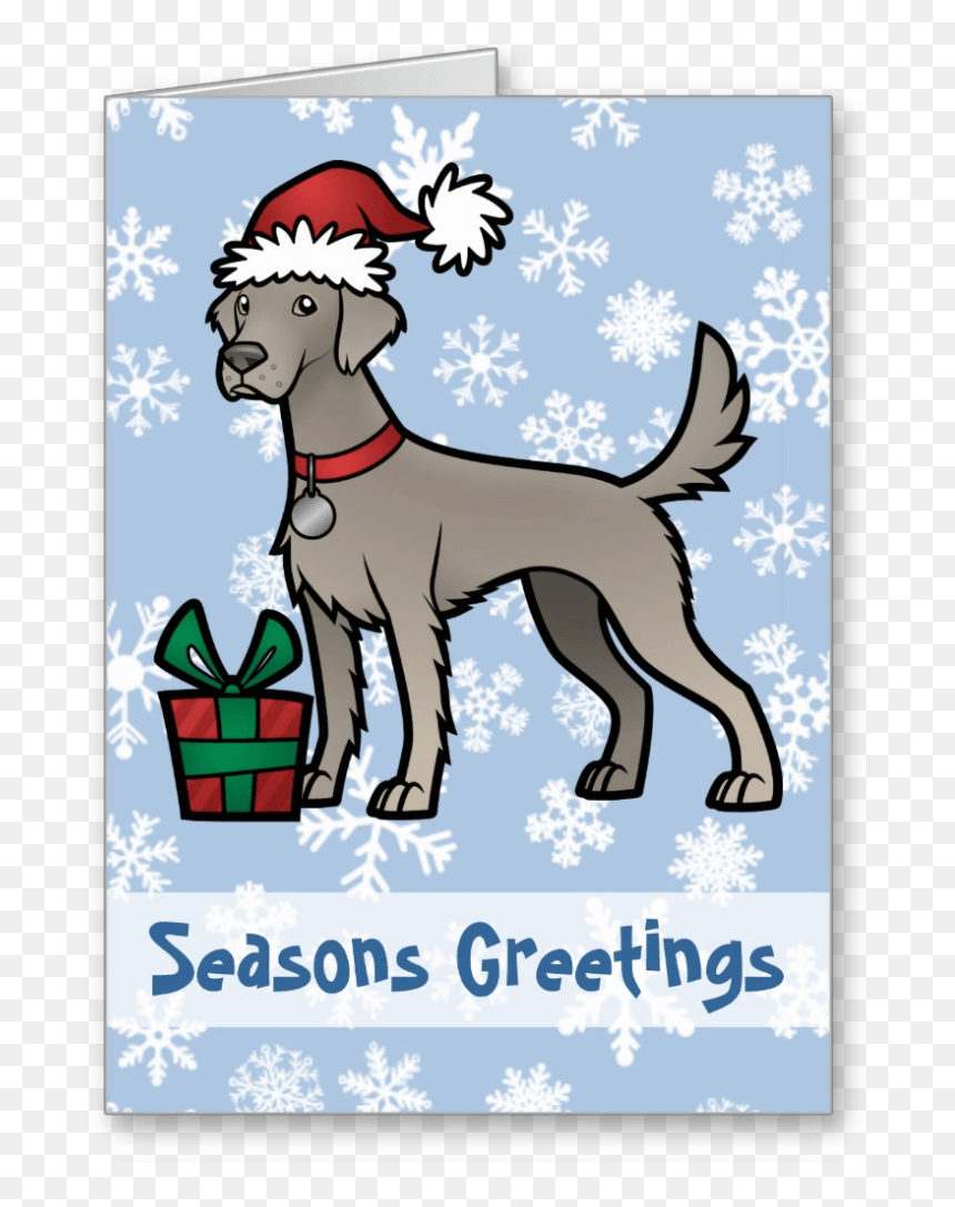 Long Haired Weimaraner Christmas Card - Dog Catches Something, HD Png Download - weimaraner png