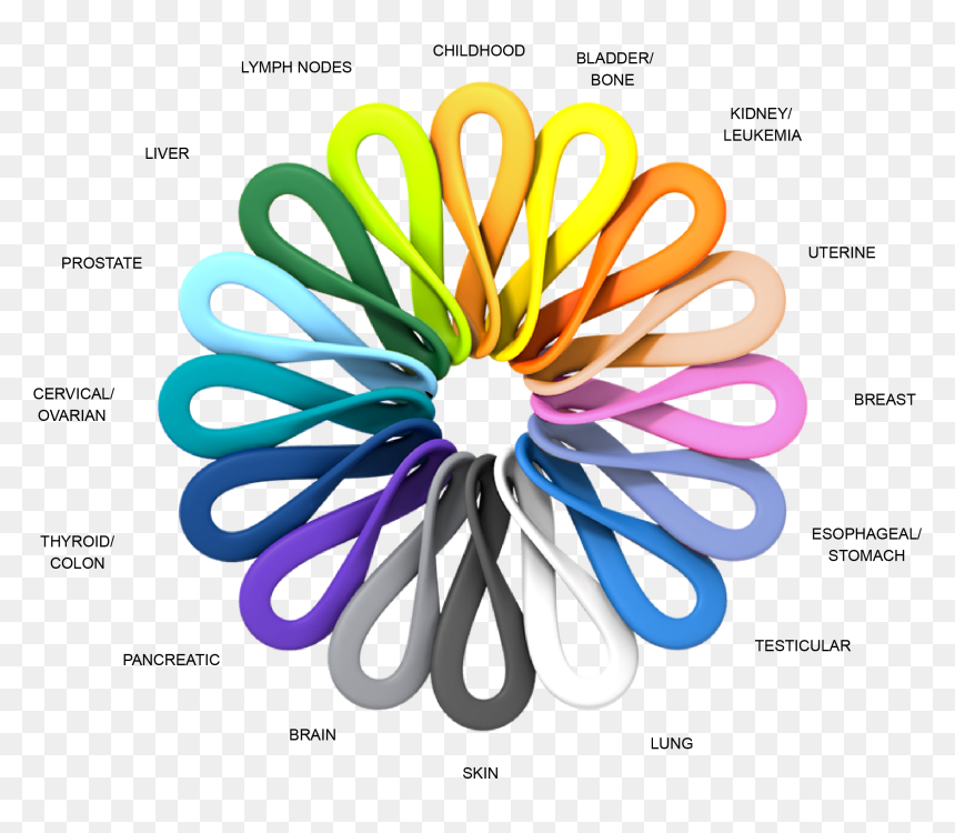 Circle, HD Png Download - brain cancer ribbon png