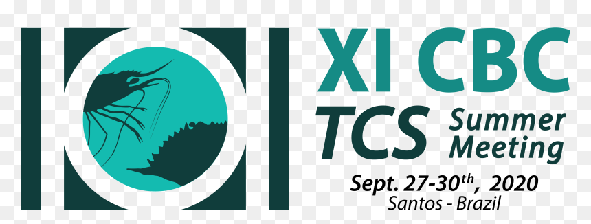 Logo Xi Cbc Tcs Summer Meeting - Graphic Design, HD Png Download - tcs logo png