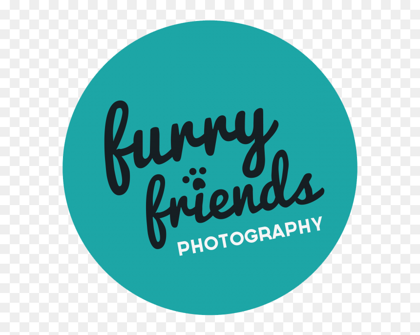 Circle, HD Png Download - words with friends logo png