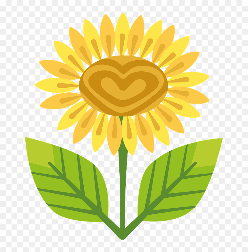 Sunflower In A Pot Cartoon, HD Png Download - sunflower silhouette png