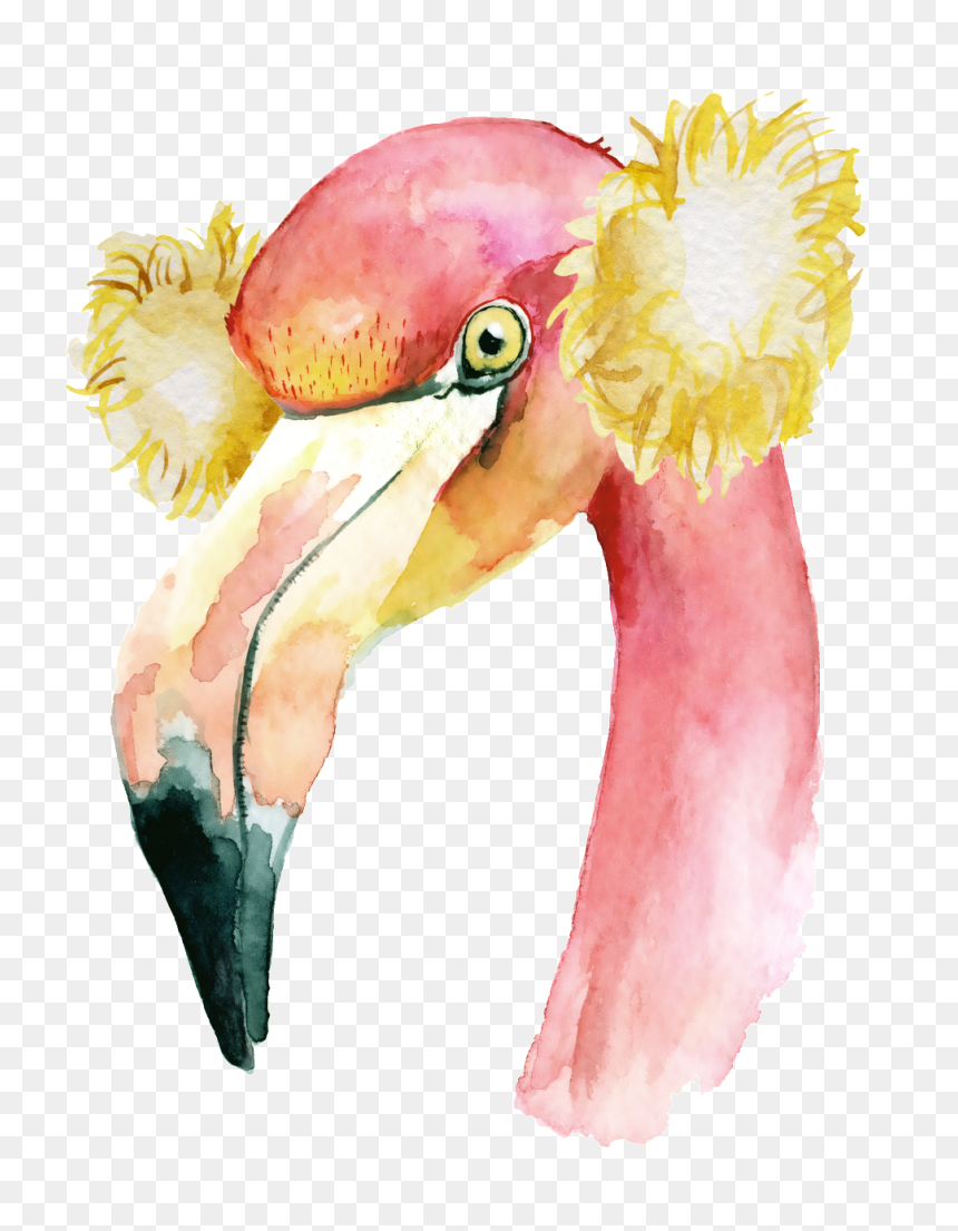 19258picuex 1024 X Oss Process=image/quality,q 70/watermark - Watercolor Flamingo Christmas, HD Png Download - watercolor flamingo png