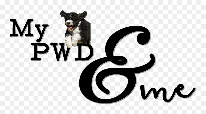 Bernese Mountain Dog, HD Png Download - mr magoo png